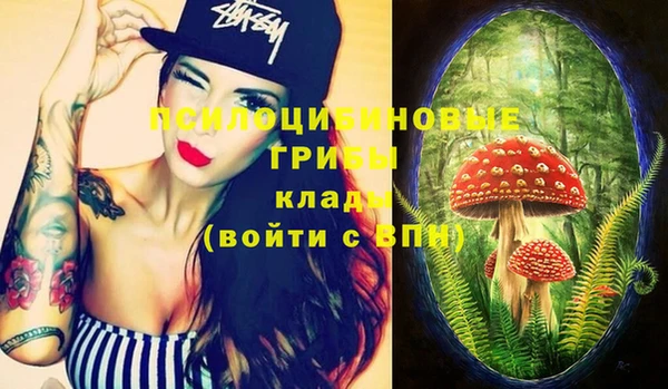 PSILOCYBIN Алексин