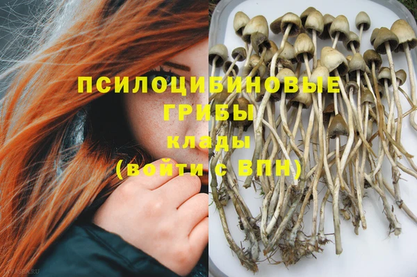 PSILOCYBIN Алексин