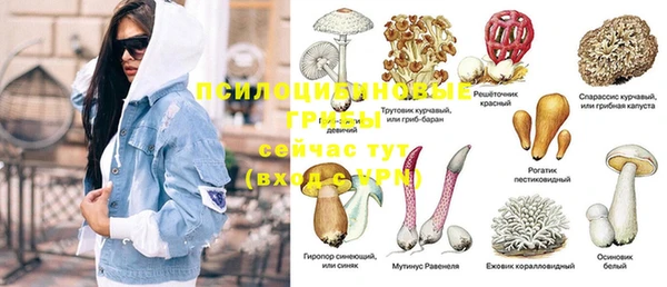 PSILOCYBIN Алексин
