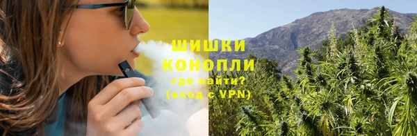 сатива Абинск