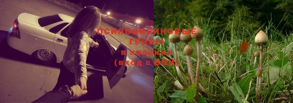 экстази Абаза