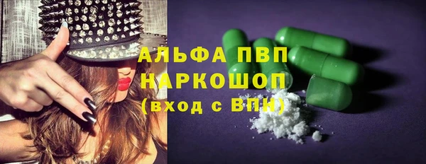 сатива Абинск