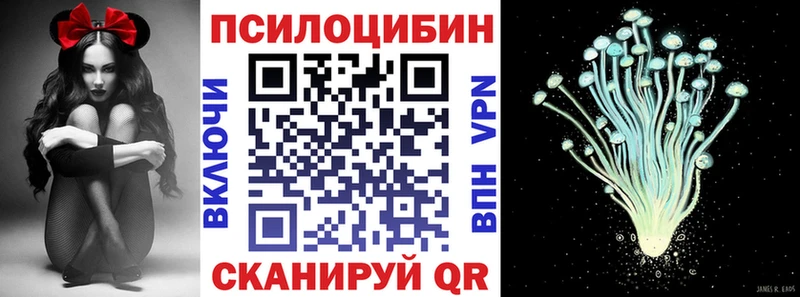 Псилоцибиновые грибы прущие грибы  Кызыл 