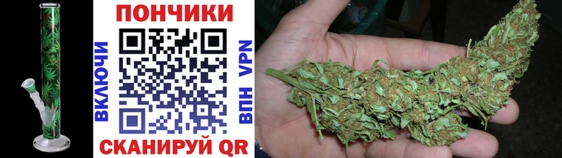 продажа наркотиков  Кызыл  shop наркотические препараты  Марихуана White Widow 